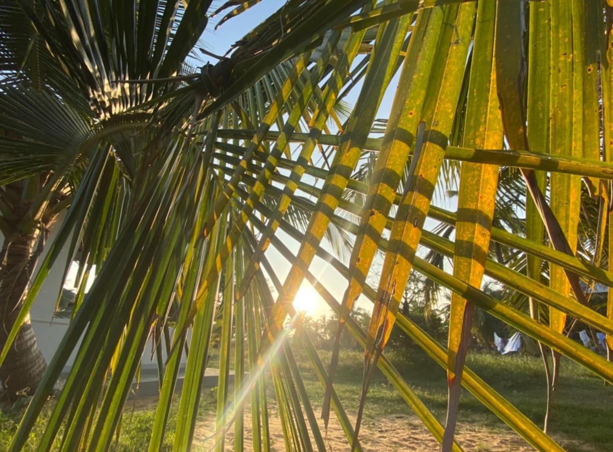 Coco Cabana Kite Resort Kalpitiya Exterior photo